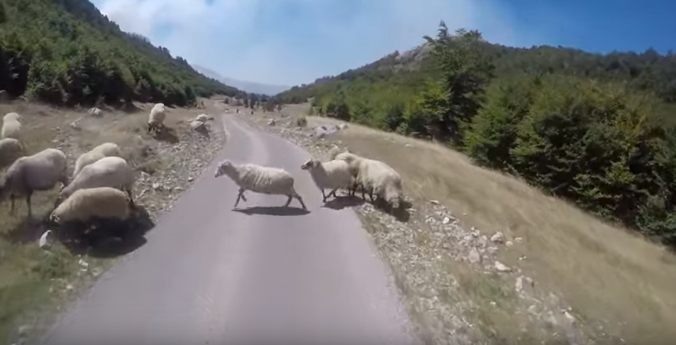 Povratak u budućnost — Vremenska kapija Lukavica